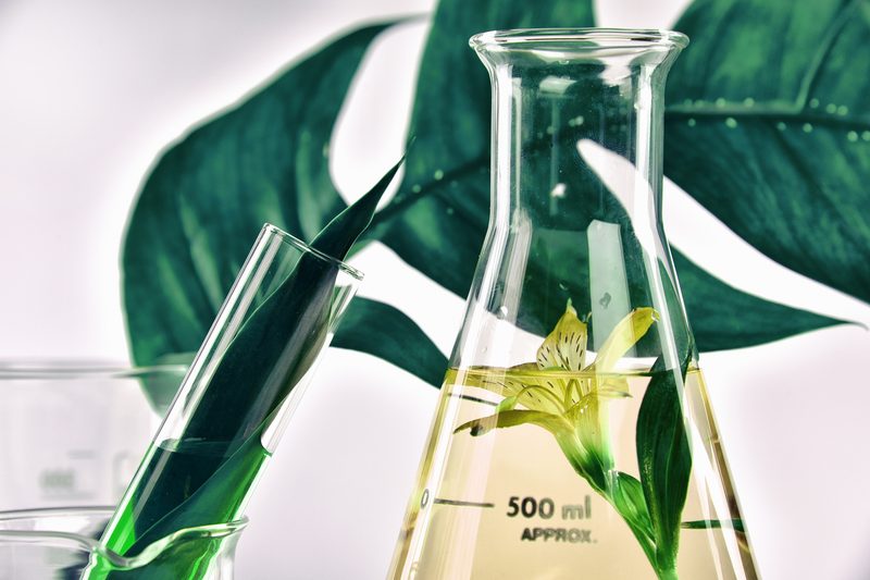 all in one skincare products