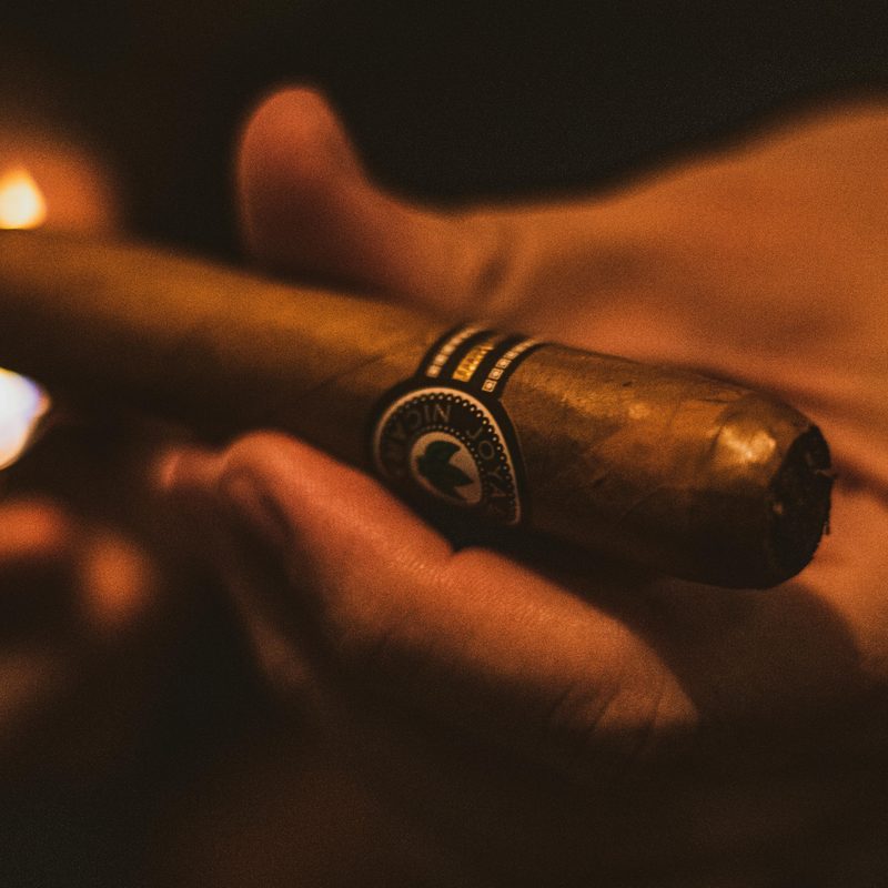Hand holding a cigar