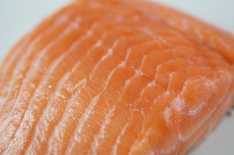 Salmon closeup