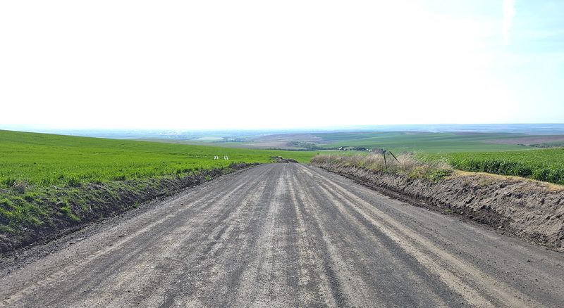 View down a road in Walla Walla
