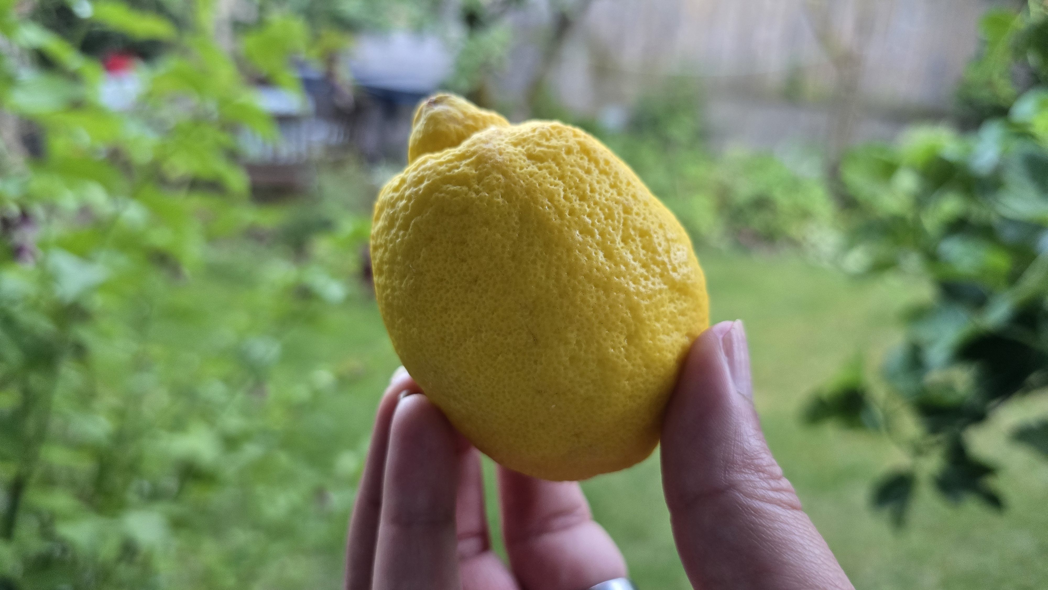 Rachel Dennis holding a lemon
