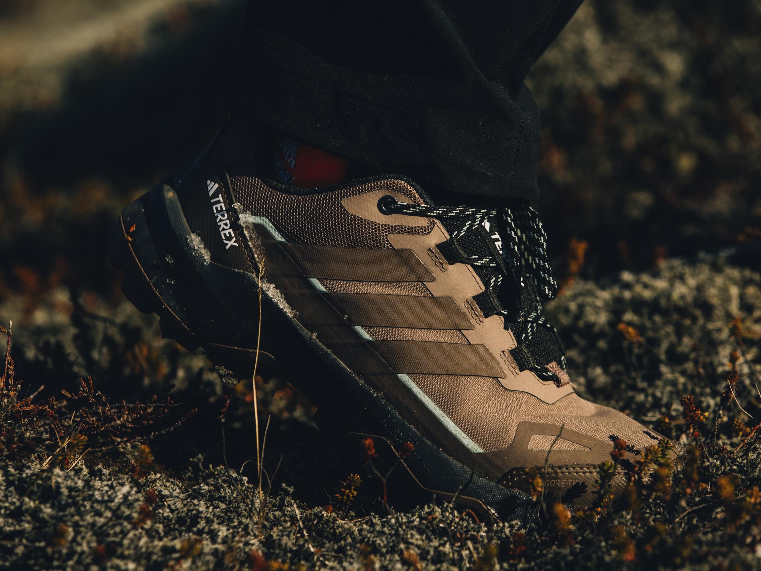 adidas hiking shoe