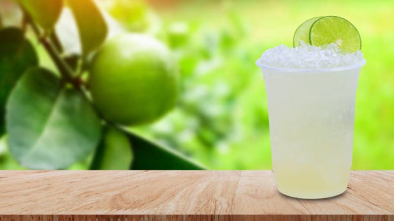 Frozen Mojito