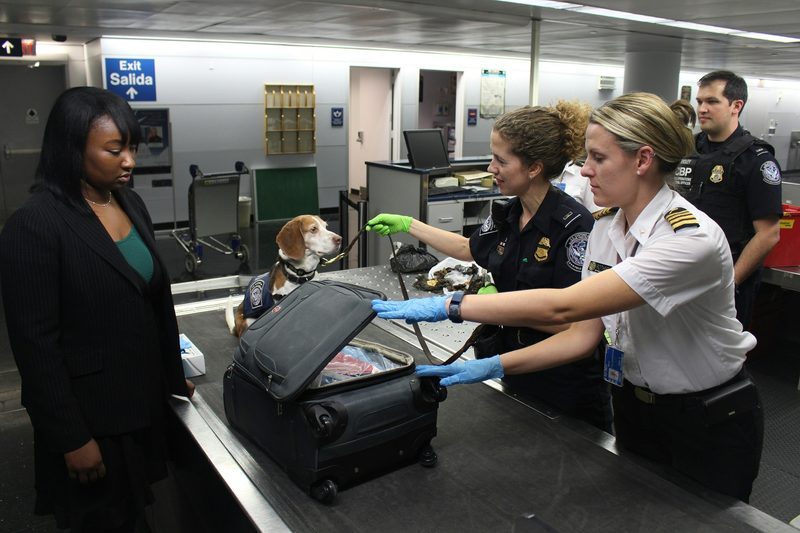 Airport security