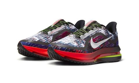 pair of nike pegasus premium