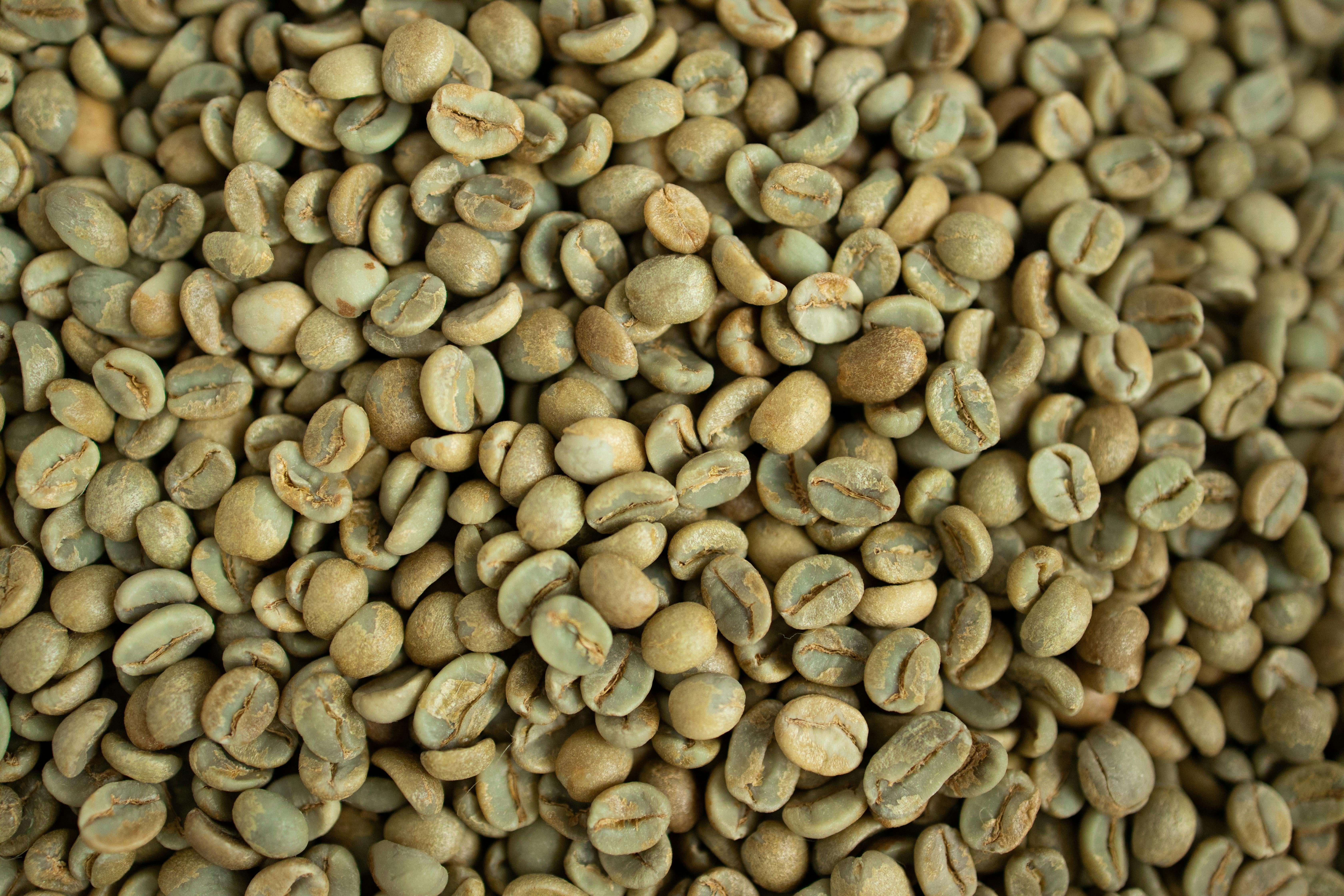 unroasted coffee beans