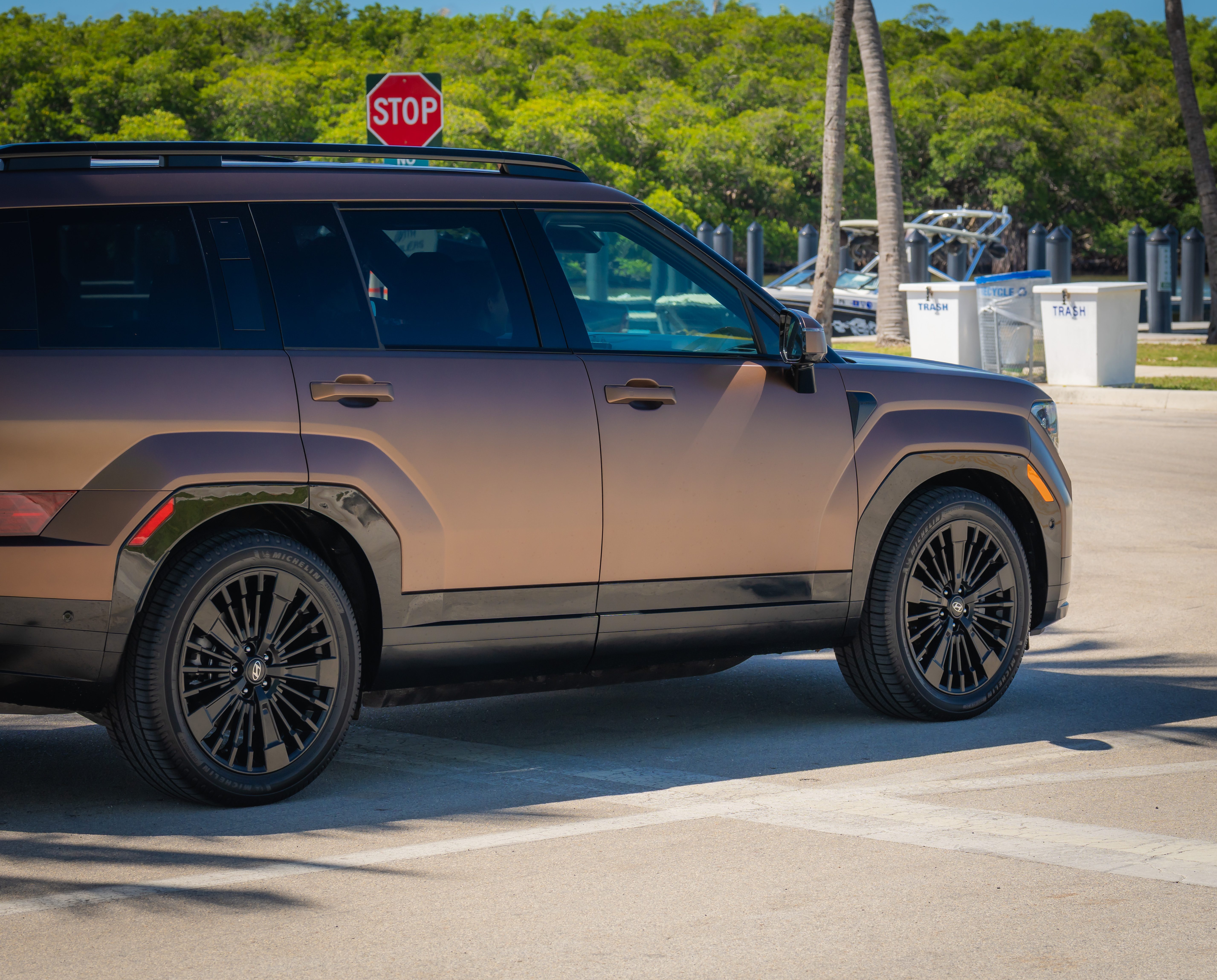 Michelin Defender tires on a Hyundai Santa Fe