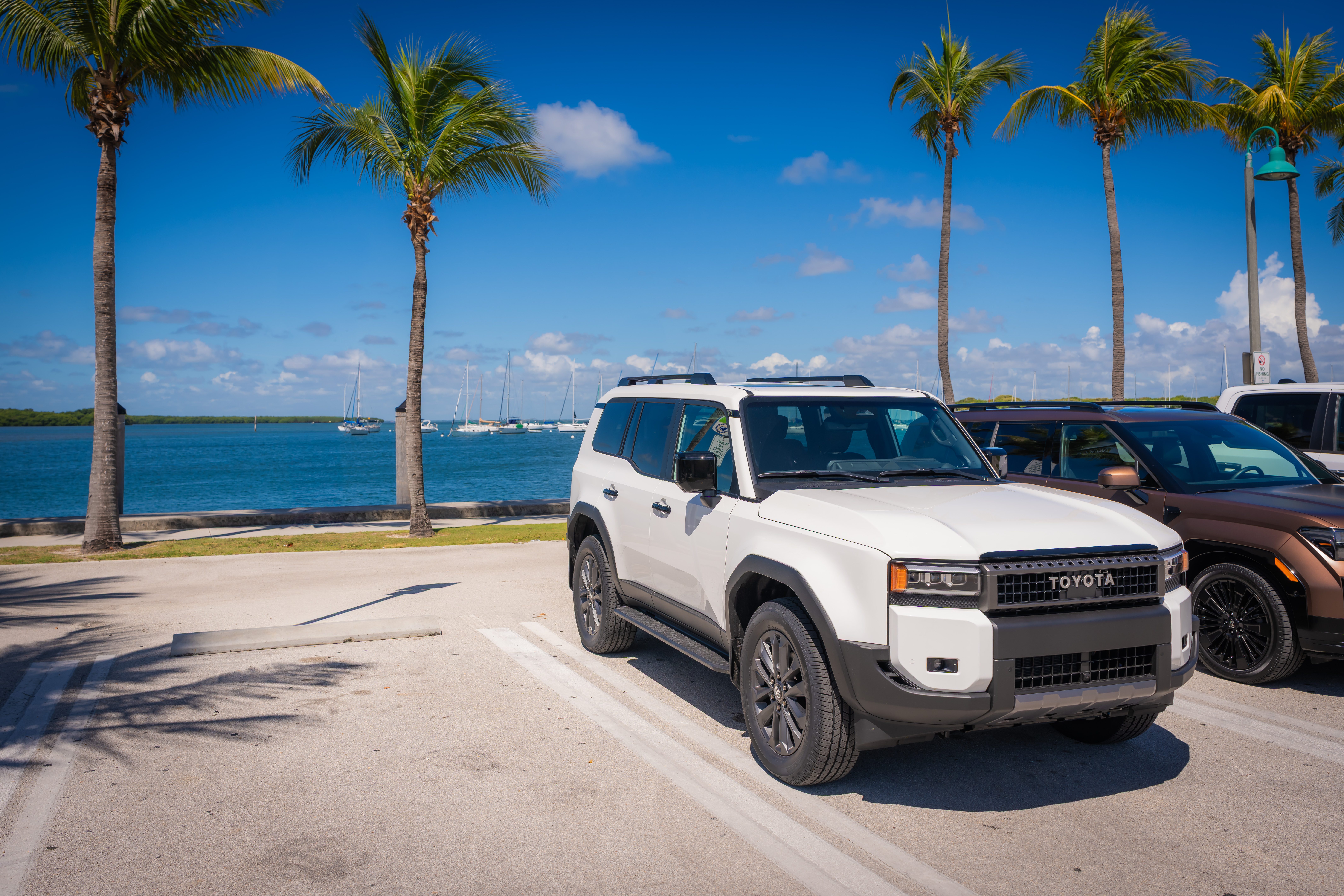 Michelin Defender Tires on a Toyota Land Cruiser