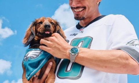 NFL Team Edition collections