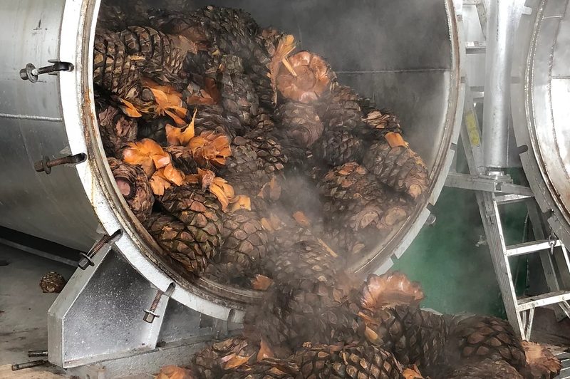 El Tequileno distillery oven.