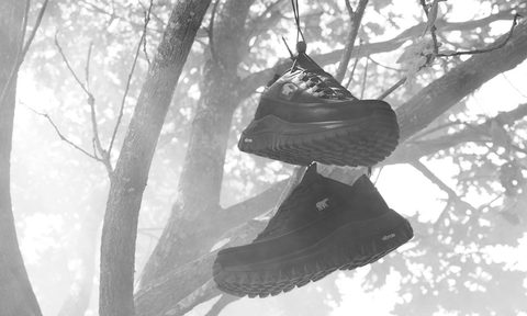 aries x sorel sneakers hanging from tree
