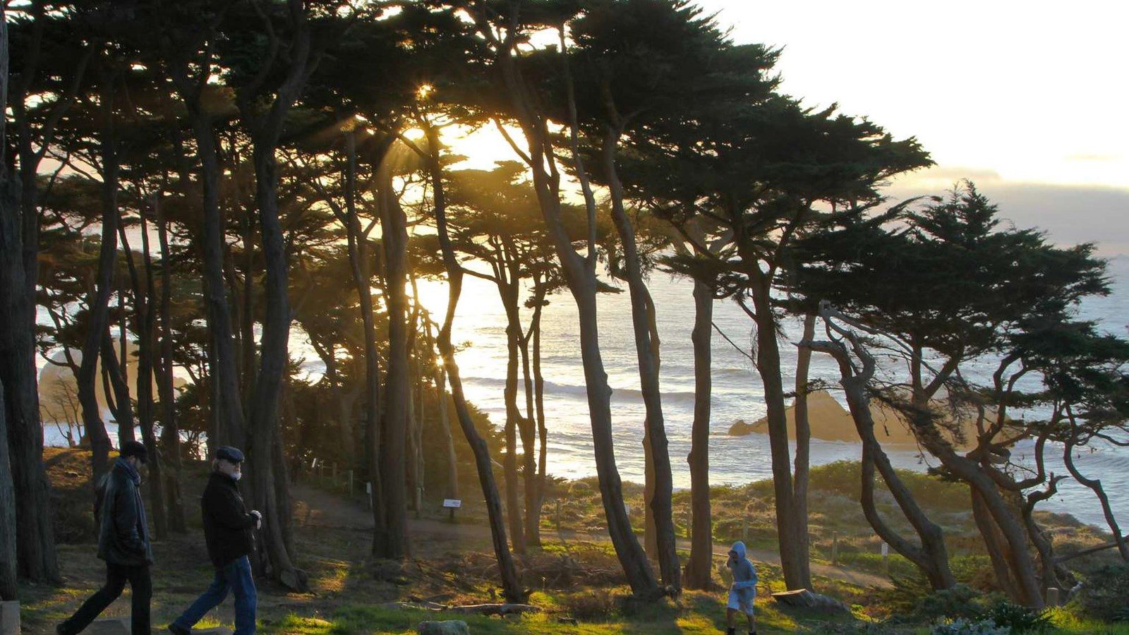 Lands End Trail