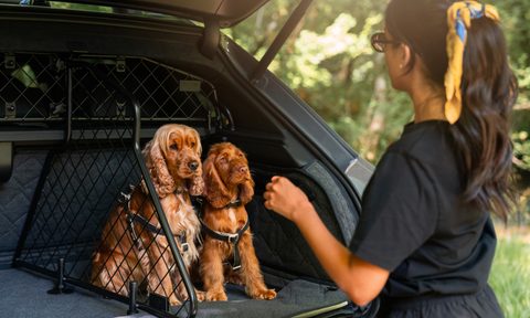 Bentley Bentayga pet accessory line dog guard and luggage protector with owner and two dogs.