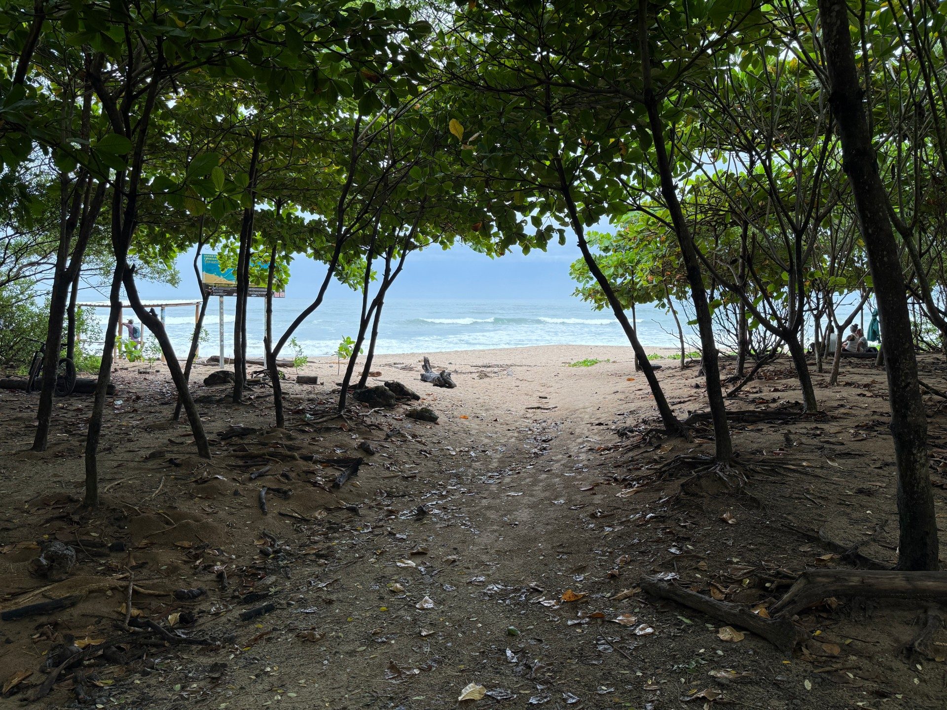 Playa Guiones, Nosara, Costa Rica