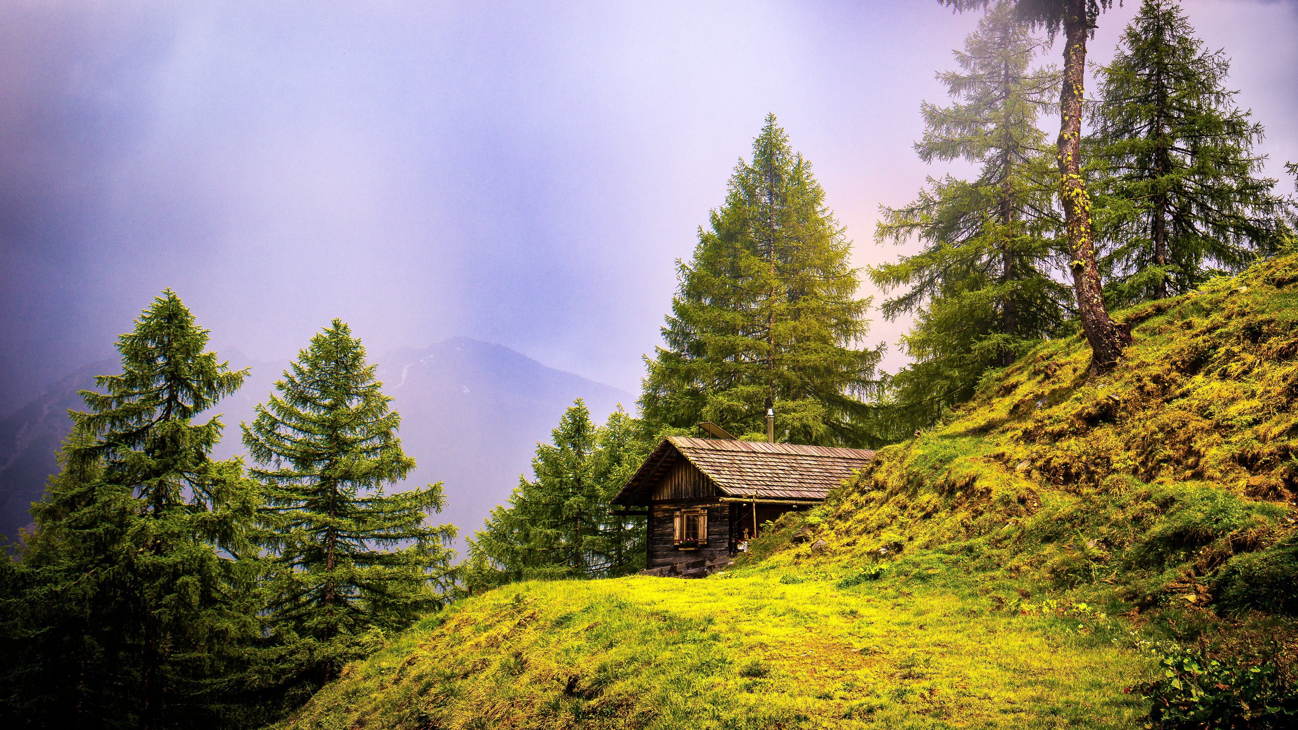 Alpine cabin