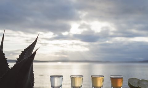 Four shots of tequila with agave plant and lime by the sea at sunset