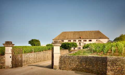 Louis Latour chateau.
