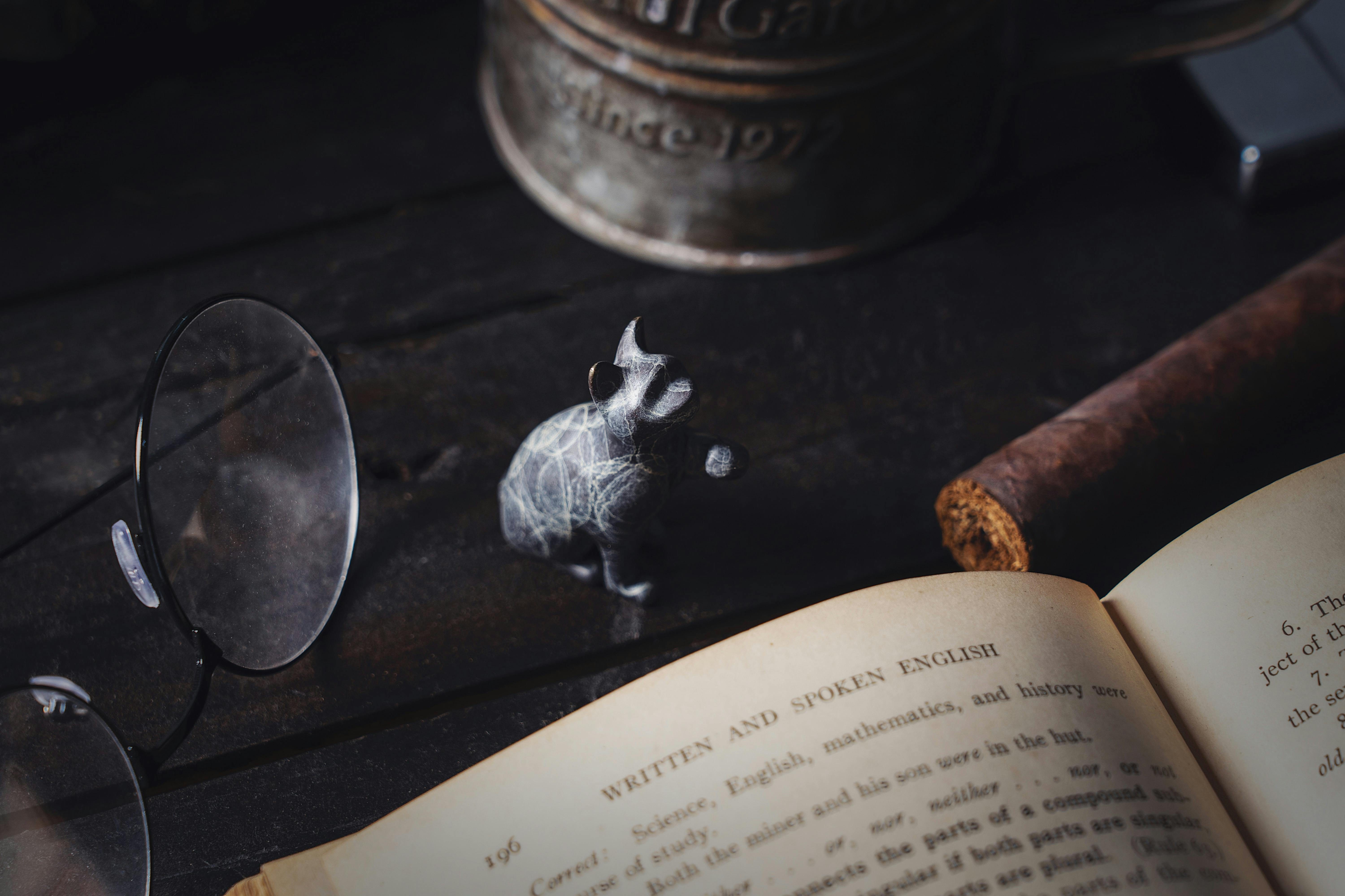 an open book, reading glasses and a cigar