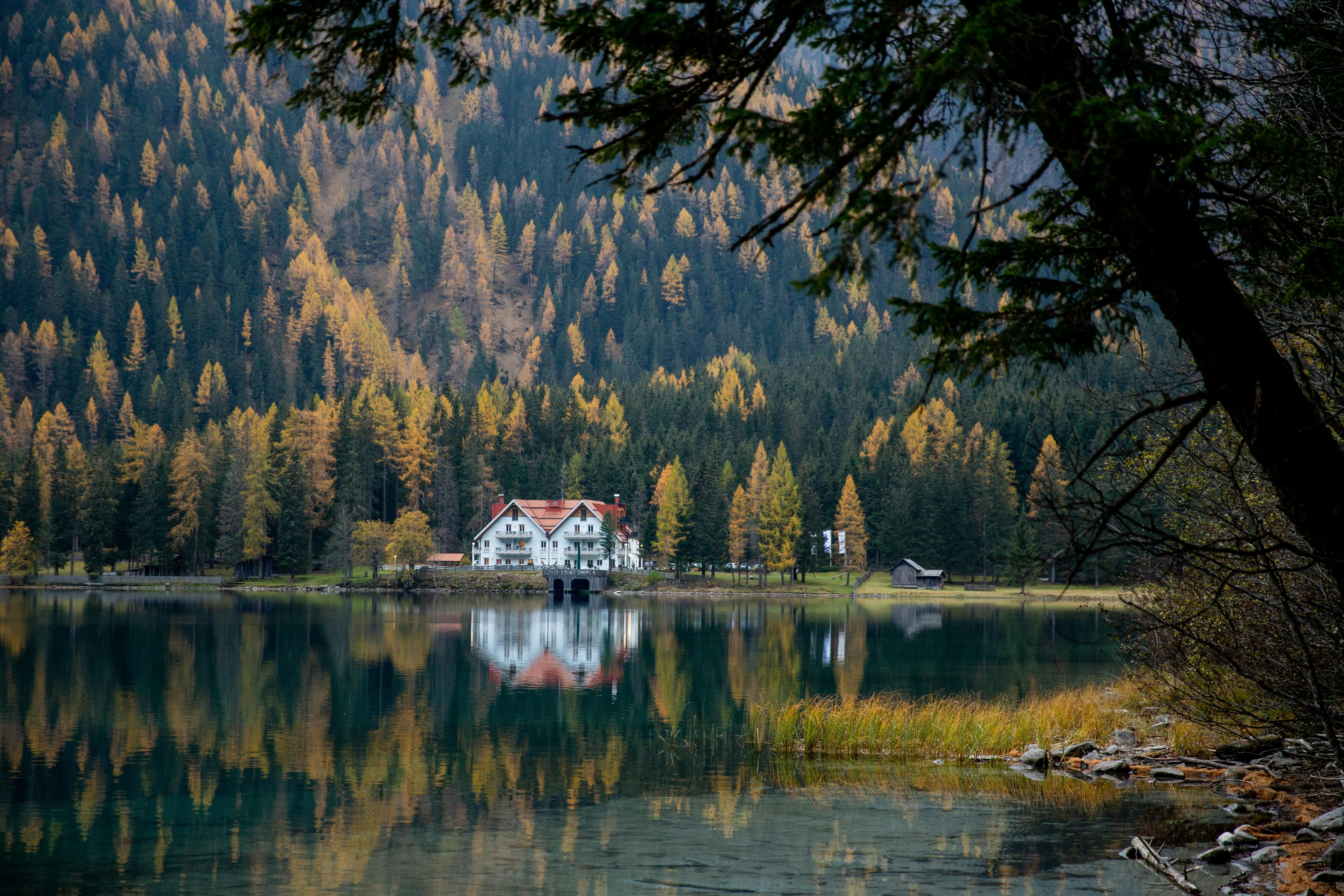 house in the fall