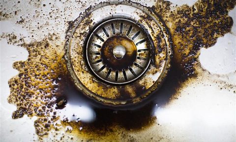 coffee grounds in sink