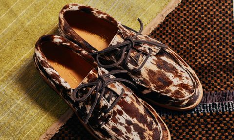 sperry x colour plus companie