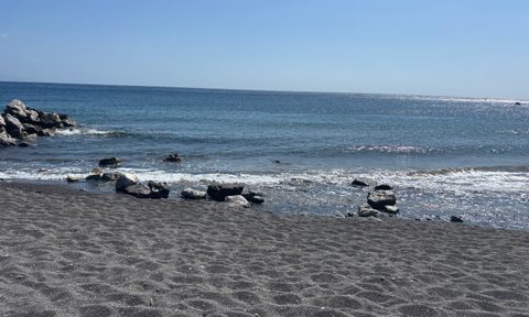 black sand beach