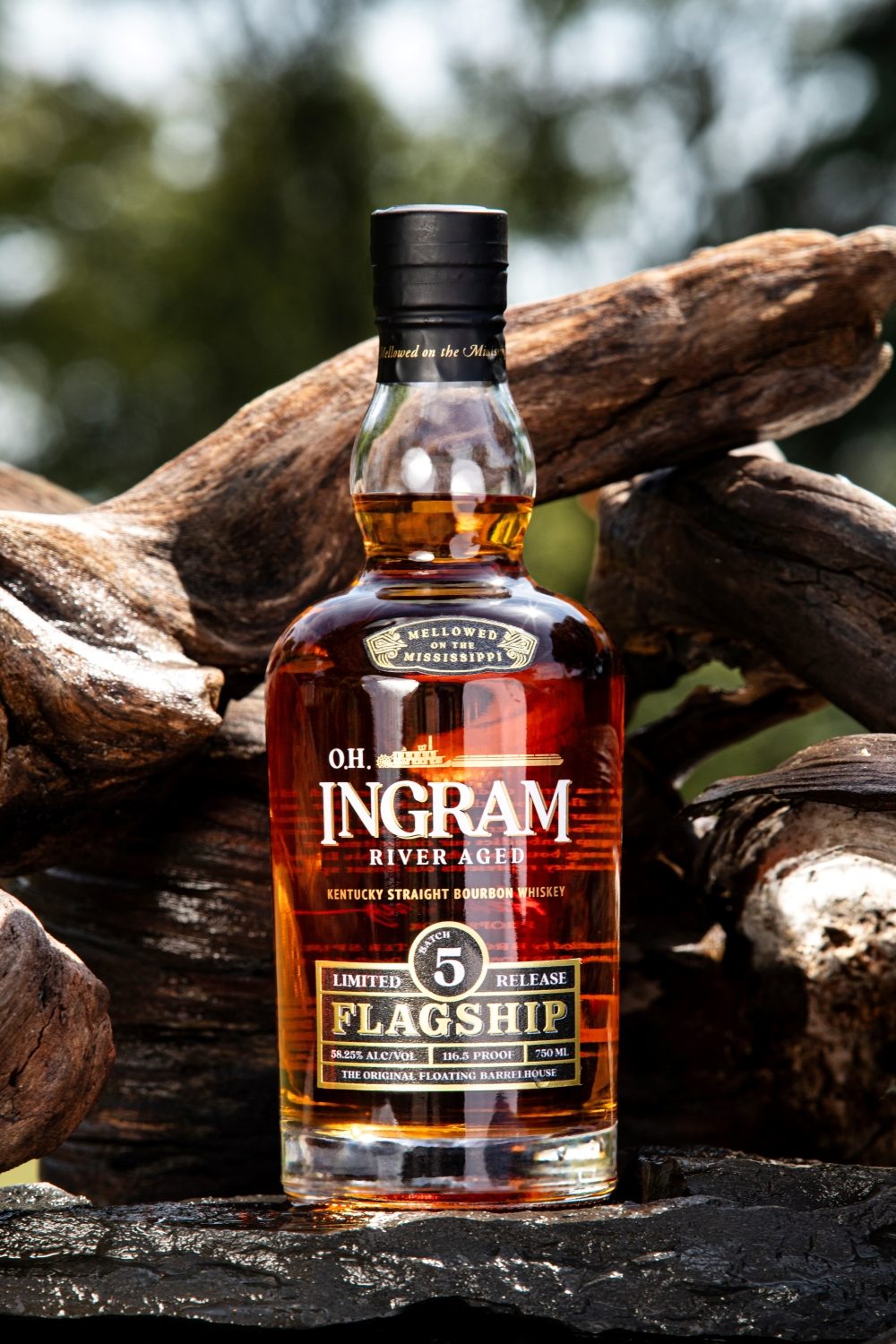 Ingram
