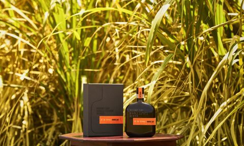 Mount Gay Rum