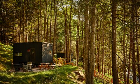 Postcard Cabins Piney Woods, Courtesy of Outdoor Collection by Marriott Bonvoy