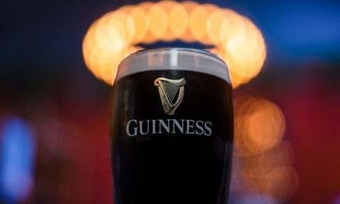 Guiness Stout