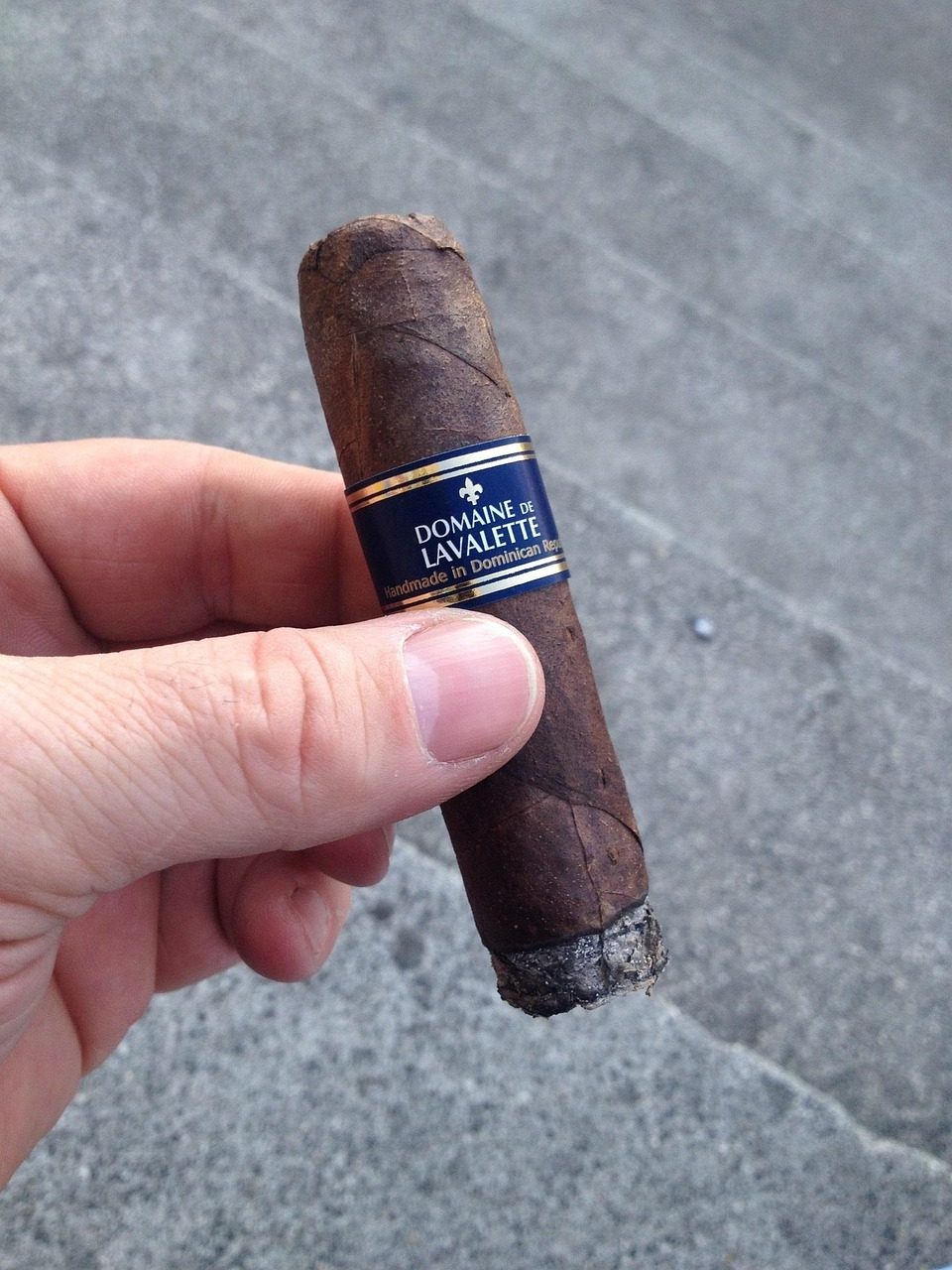 hand holding a short cigar
