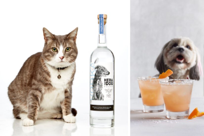 Hera the Dog Vodka.