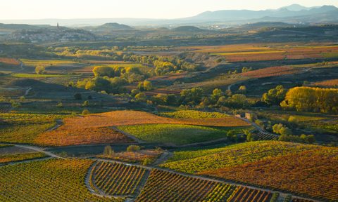 La Rioja Spain