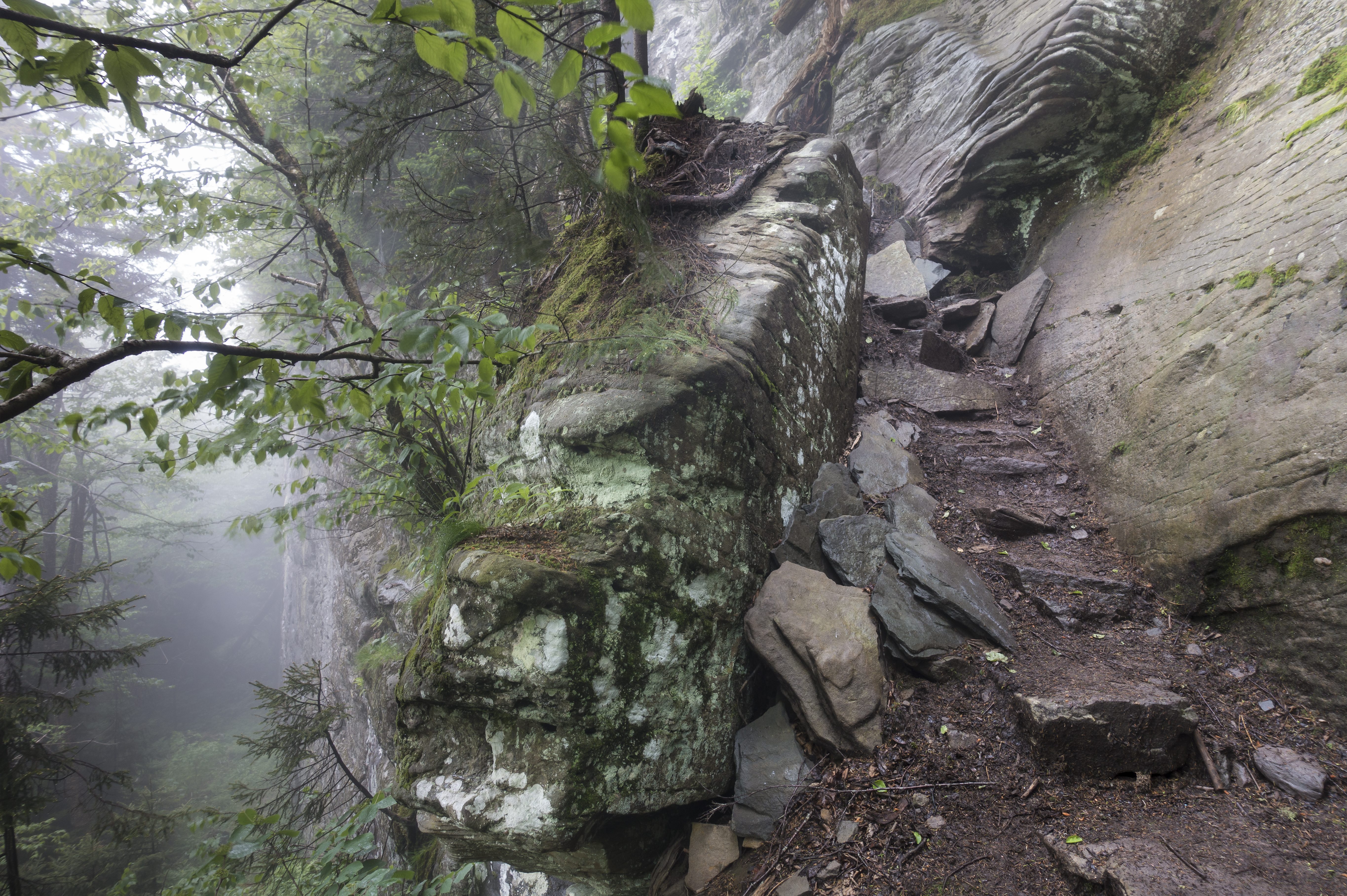 The Devil's Path