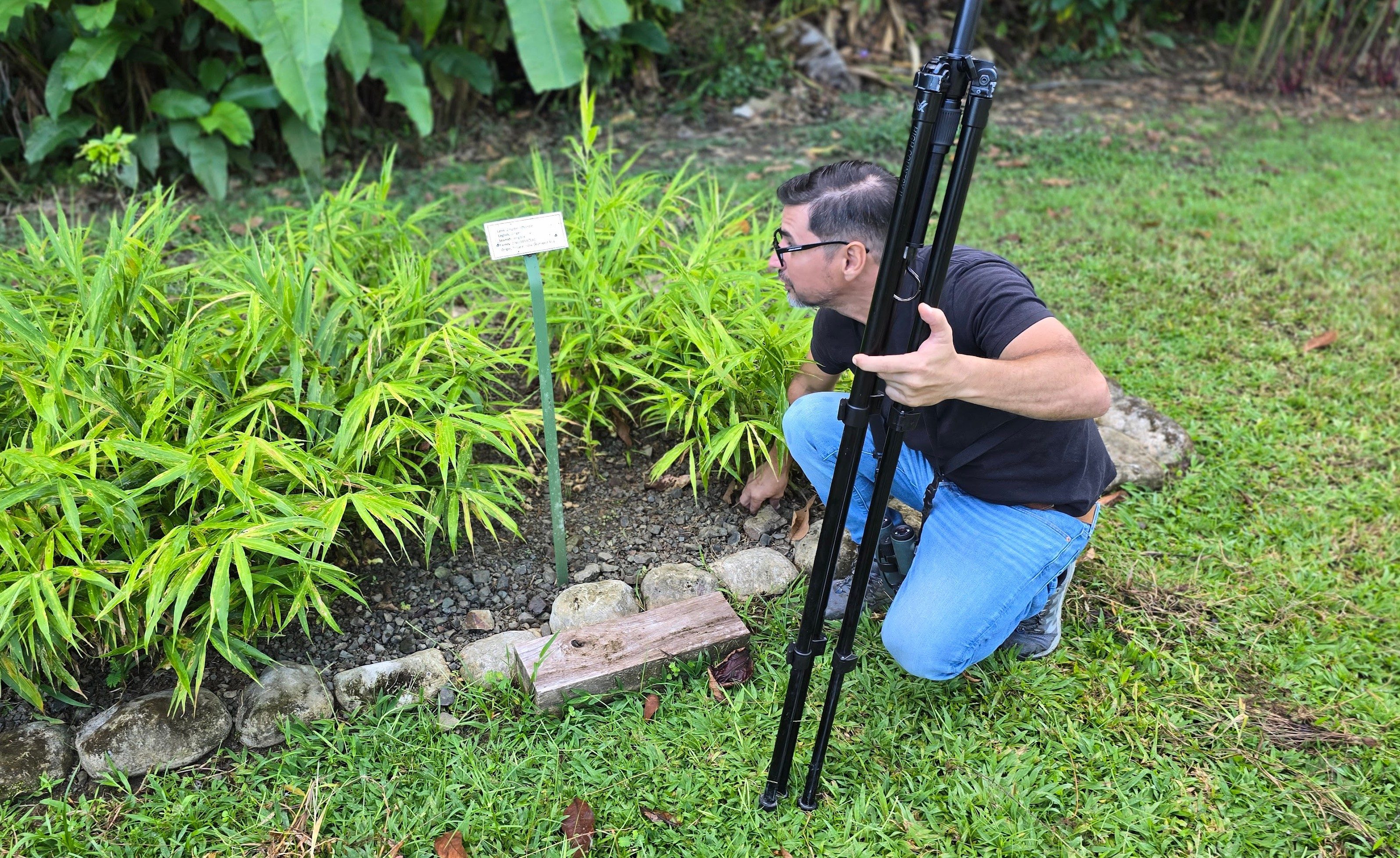 birdwatching guide reading a sign