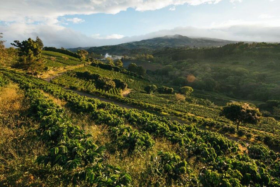 Costa Rica vista