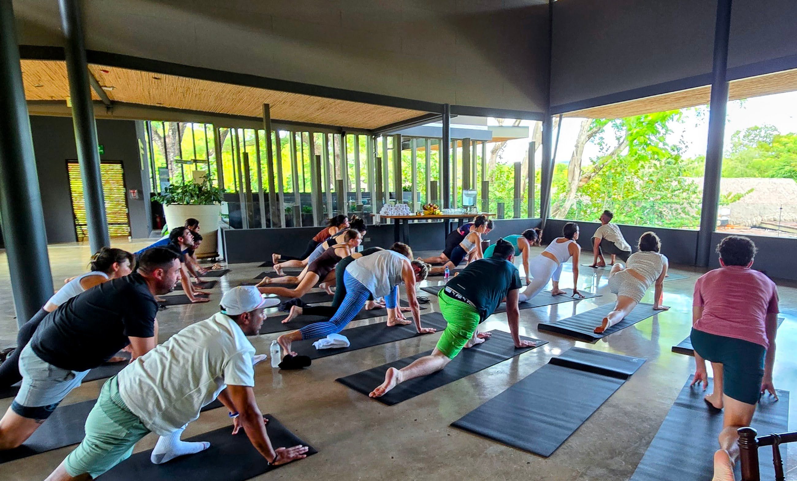 yoga session at El Mangroove