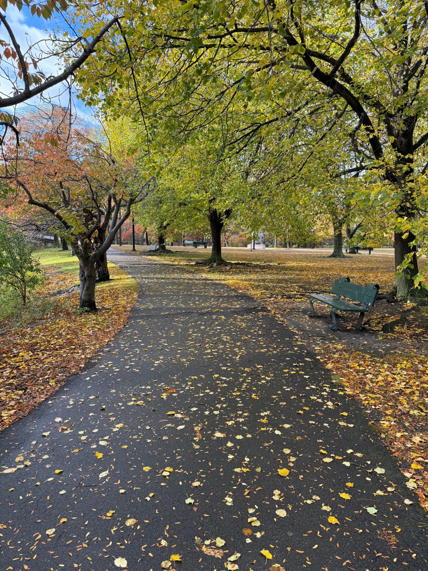 Charles River running