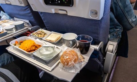 airplane food