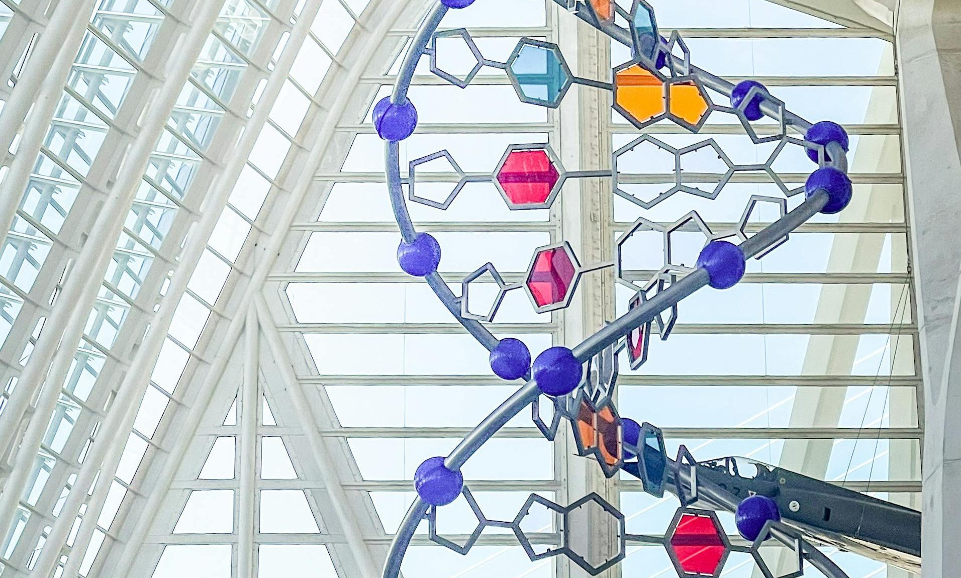 DNA sculpture in Venice museum