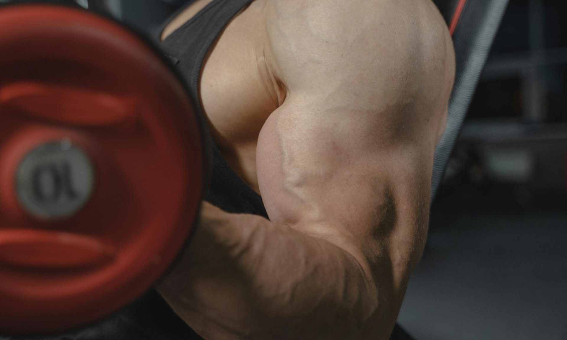 man muscle bicep curl weightlifting