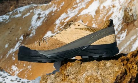 salomon x alp