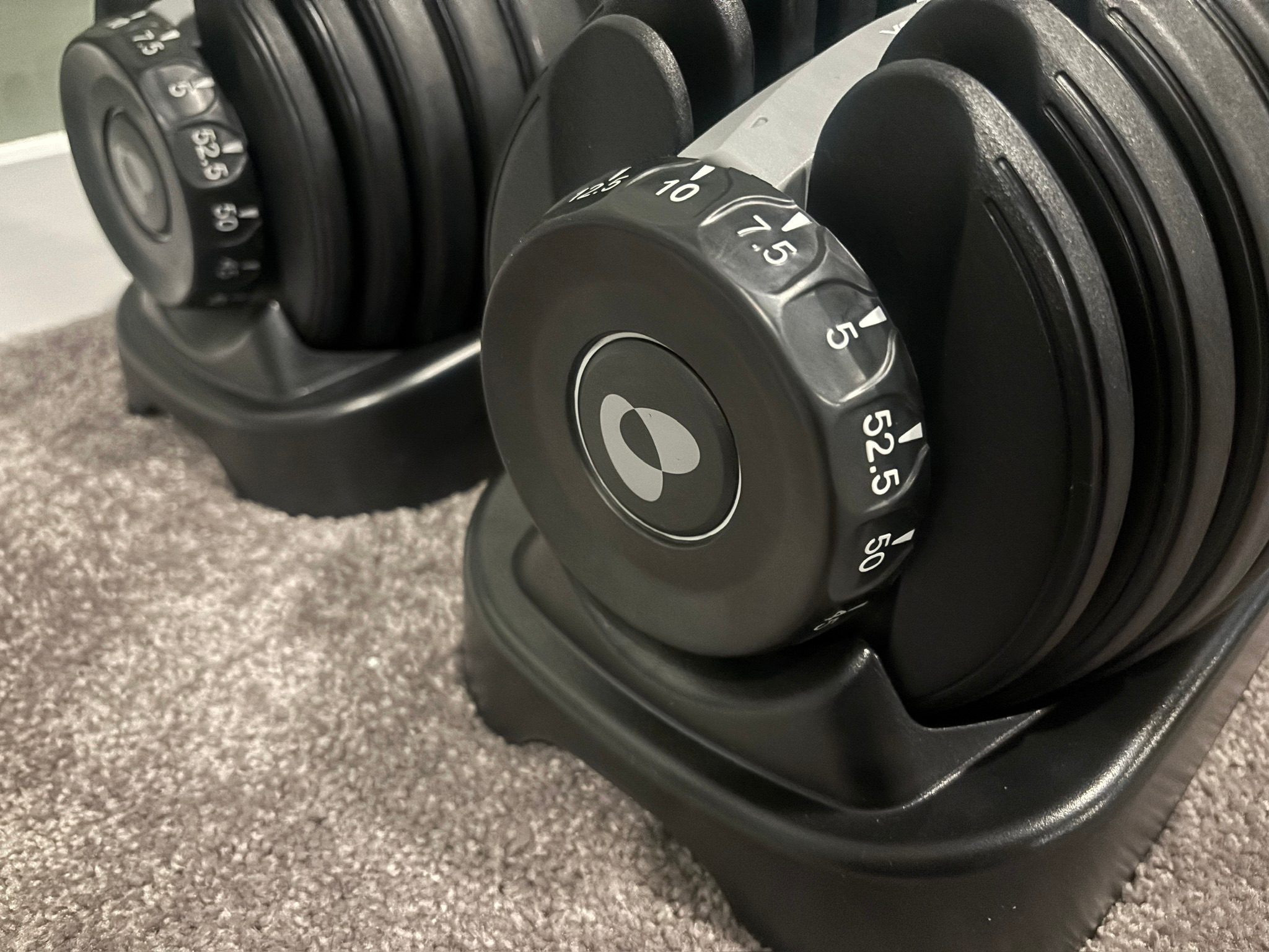 bowflex results series 552 selecttech dumbbells