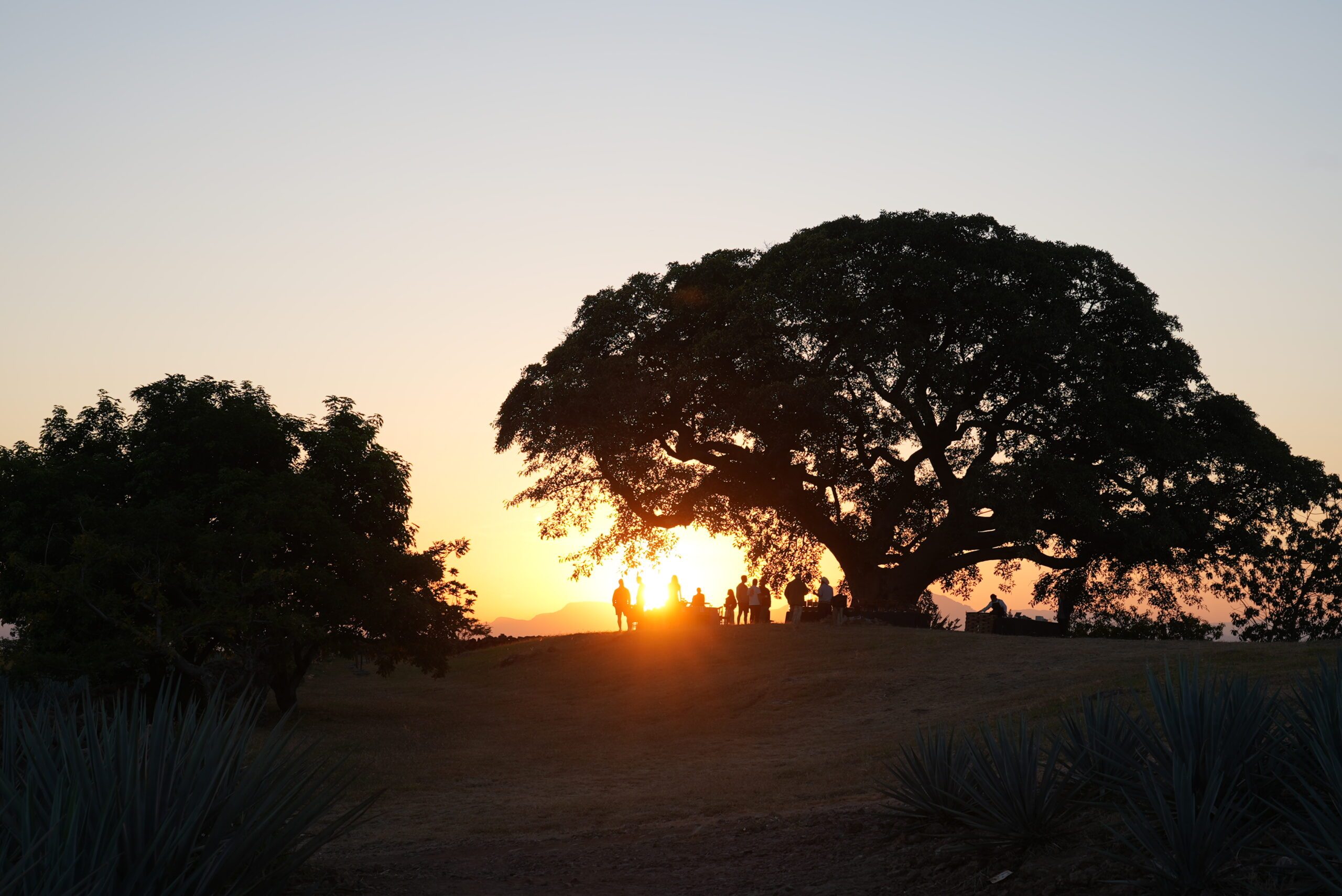 Nature, Outdoors, Sky