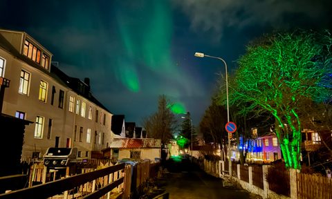 Nature, Night, Outdoors