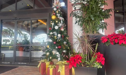 Caribe Royale Orlando