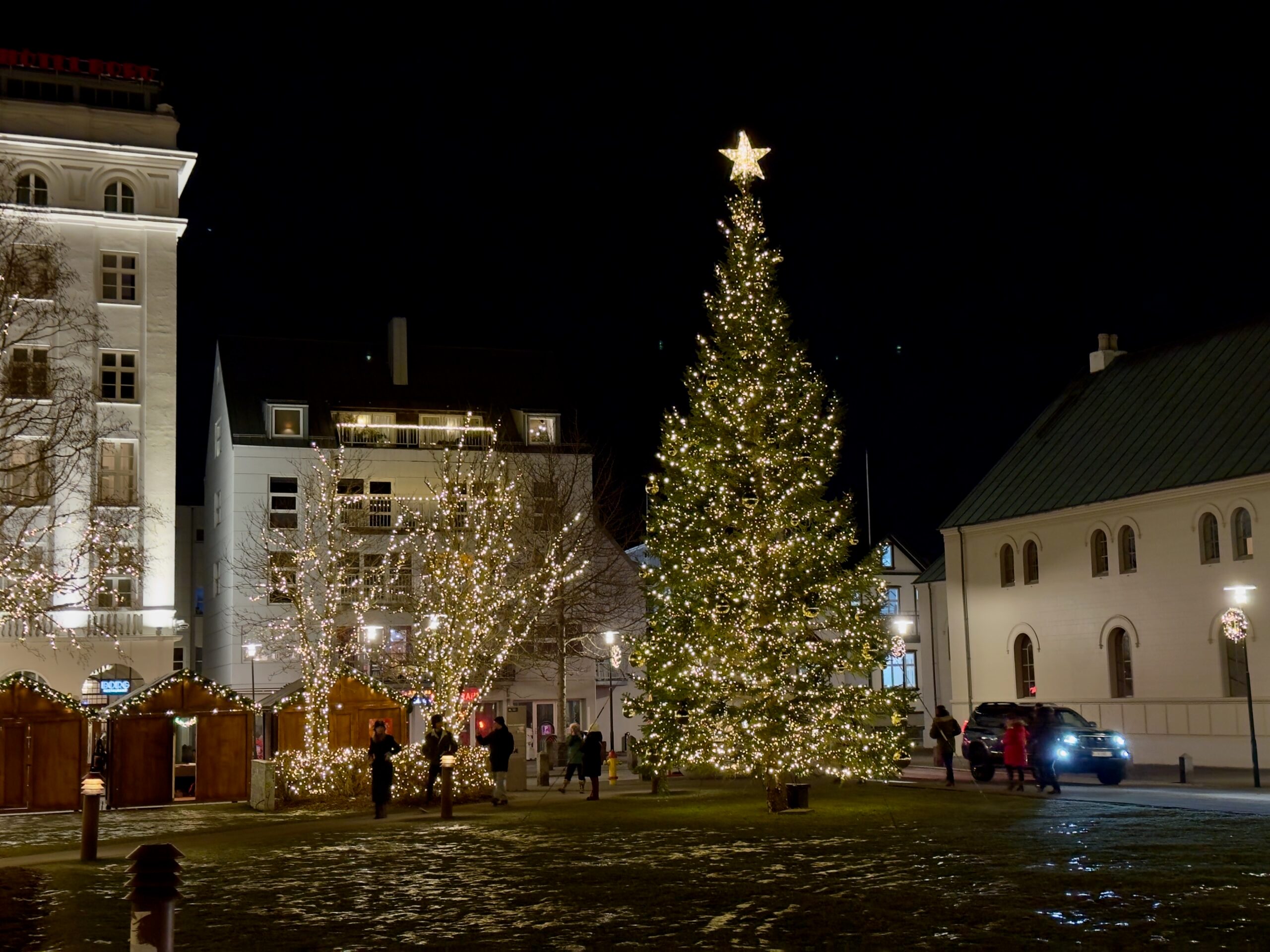 Christmas tree at the Austurvöllur Christmas Market in Reykjavik.