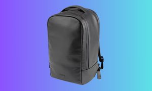 Leander Studio Everyday Professional Backpack deal (1)