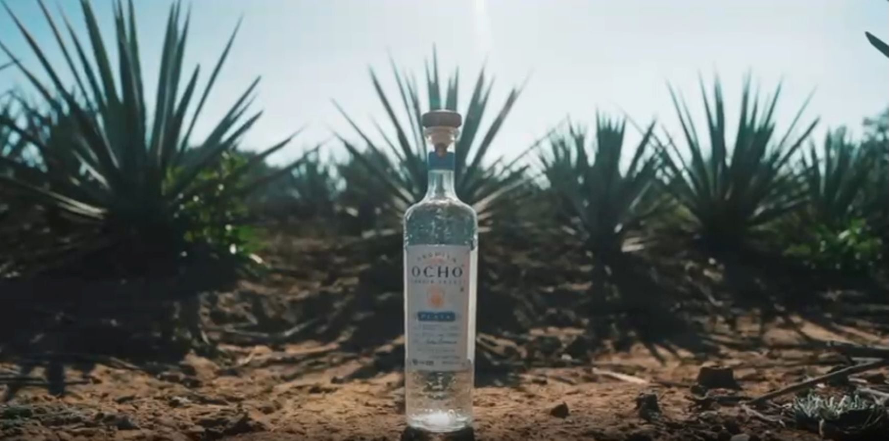 Tequila Ocho