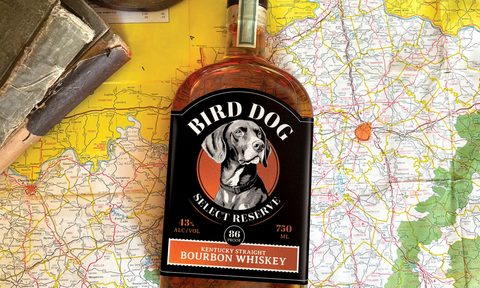 Bird Dog